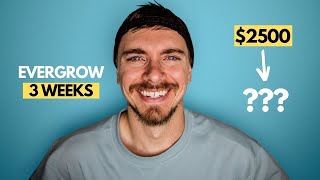 How Much I Made Using EverGrow For 3 Weeks [upl. by Morley376]