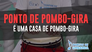 Pombos Correios  Como saber o sexo do pombo recém nascido [upl. by Arlon]