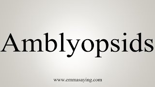 How To Say Amblyopsids [upl. by Ahsinot341]