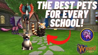 Wizard101 The BEST Pets For NEW Wizards ALL SCHOOLS [upl. by Nnuahs]