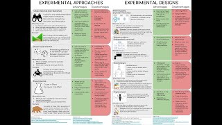 Experimental Designs in Quantitative Research  Overview amp Cheat Sheets [upl. by Jak]