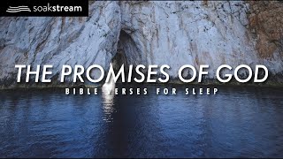 The Promises of God  Bible Verses For Sleep [upl. by Hilaria]