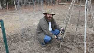 How To Build A Teepee Trellis [upl. by Fuller]