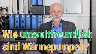 Wärmepumpen UMWELTFREUNDLICH in der Heizung einsetzen [upl. by Brandenburg281]