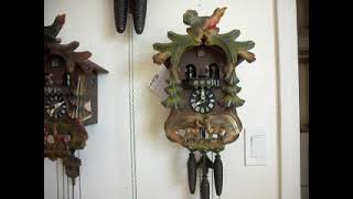 Musical 1 day cuckoo clock [upl. by Grubb]