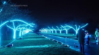 Spectacular festive light show twinkles at Londons Kew Gardens [upl. by Gasparo]