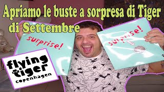 APRIAMO LE BUSTE A SORPRESA DI TIGER DI SETTEMBRE 22  1° Episodio Stagione 2 [upl. by Humo]