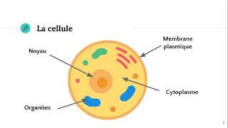 La cellule 🔬 [upl. by Tyson368]