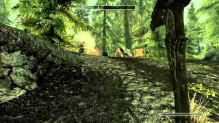 Treasure Map 1 I  The Elder Scrolls V Skyrim Guide  Where to find [upl. by Reimer]