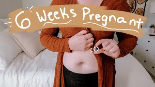 6 WEEKS PREGNANT UPDATE  Pregnant with no Symptoms [upl. by Halbert]