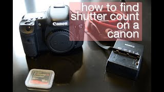 HOW to find shutter count on canon [upl. by Anel]