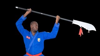 vovinam viet Vo dao Sénégal Le Dai Dao [upl. by Brockie715]