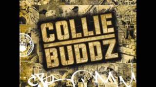 Collie Buddz  Collie Buddz  Come Around HQ [upl. by Ennairac]