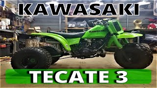 What Did I buy Tecate 3 wheeler kxt 250 [upl. by Olumor699]