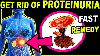 How to Get Rid of Protein in Urine PROTEINURIA Naturally and Fast [upl. by Lytsirk]