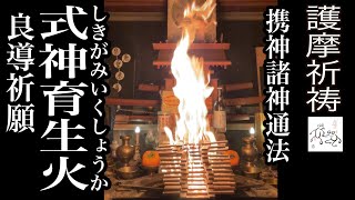 【護摩祈祷】良導祈願31式神育生火【火炎・護摩焚き】 [upl. by Costa]