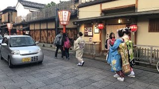 Ep 22 Geishaspotting In Search Of Geisha in the Gion District of Kyoto Japan [upl. by Ahsiek]