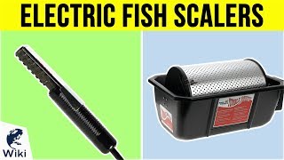 5 Best Electric Fish Scalers 2019 [upl. by Kappel524]