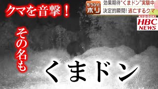 驚き逃げ出すクマ…実は新たなクマ対策 動物が嫌がる音を出す「くまドン」被害に悩む農家に朗報か 北海道 2022年10月25日放送 [upl. by Natanoj]