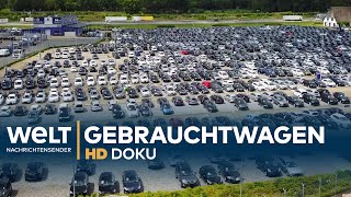 Heiligs Blechle  Deutschlands größter Gebrauchtwagenhandel  Doku [upl. by Shalne]