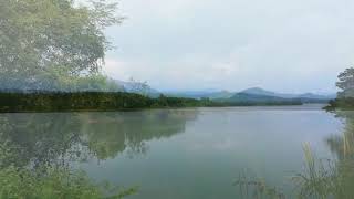 A trip to Netta Chittar dam reservoir Near vellarada [upl. by Gaither]