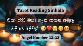 Their fantasies about you 💭❤️😳 Tarot Reading Sinhala taortreading srilanka sinhala [upl. by Lawton]