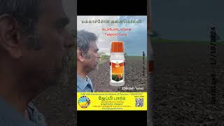 மக்காச்சோள களைகொல்லி HPPD Herbicide Mesotrione Tempotrione Topramezone Maize Glomalin soil [upl. by Miko]