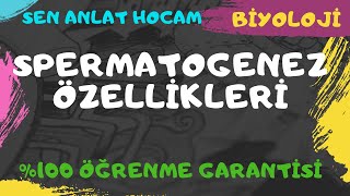 SPERMATOGENEZ  TYT 2021  ✅ [upl. by See784]