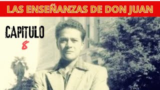 Las Enseñanzas de Don Juan I Carlos Castaneda  Capitulo 8 [upl. by Nivrem]