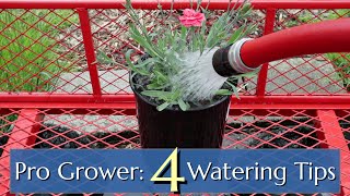 Professional Watering Tips Plants in Pots amp Containers [upl. by Nohj]