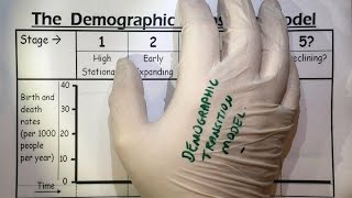 Demographic Transition Model overview  AQA GCSE Geography  3221 [upl. by Sabir]