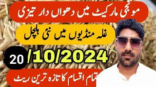 Munji Rates in Pakistan Today  Super 1509 1692 Hybrid Super Fine Munji Prices  Agriculture [upl. by Boonie]