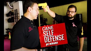 Self Defense Tips Cane Tactics  Canes for Personal Defense [upl. by Ylrebma]