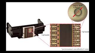 Canon Pixma Printer Printhead Function and Failure  An Inside Look [upl. by Ahsakat810]