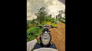 Honda Jade 250 original K1 Silencer sound with ride [upl. by Othello991]