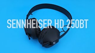 Sennheiser HD 250BT Review [upl. by Robison149]