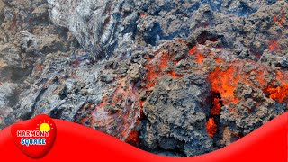 What are Igneous Rocks  More Grades 912 Science on the Learning Videos Channel [upl. by Wyatt]