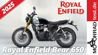 Royal Enfield Bear 650  Kurzvorstellung [upl. by Roban]