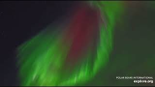 Beautiful Northern Lights Aurora Borealis Display x2 Speed 10112024 exploreorg [upl. by Moonier]