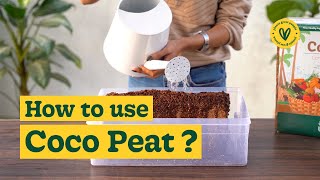 How to Use CocoPeat for Plant Growth  A StepbyStep Guide  Ugaoo [upl. by Linda]