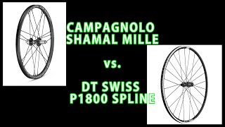 【ロードバイク ホイール 比較】CAMPAGNOLO SHAMAL vs DT SWISS P1800 SPLINE 個人的な感覚です [upl. by Suhploda]