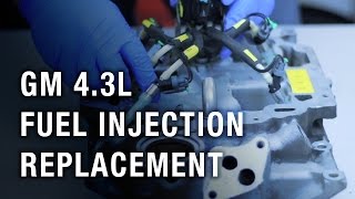 GM 43 Liter Fuel Injection Replacement [upl. by Arda]