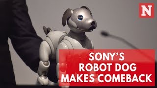 Sony’s New Aibo Robot Dog Is The Cutest In AI Technology [upl. by Rubma920]