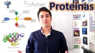 Proteínas y Aminoácidos UN MES DE CLASES EN 10 MINUTOS [upl. by Etteuqal811]