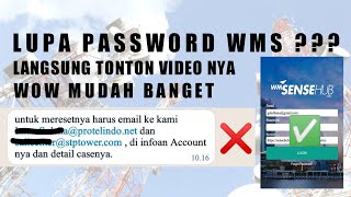 Cara Reset Ulang Password WMSensehub WMS ProtelindoSTP [upl. by Kalina]