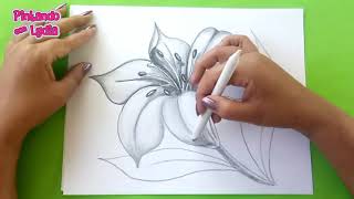 Dibujos A Lápiz Como Dibujar Una Flor  How To Draw A Flower [upl. by Assilac221]