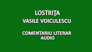 Lostriţa Vasile Voiculescu Comentariu literar [upl. by Nila]