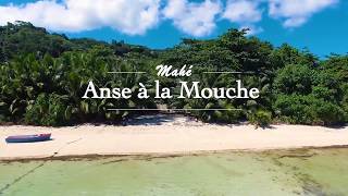 Anse à la Mouche Mahé  Les Plages des Seychelles [upl. by Rosati645]