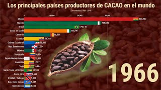 Los principales países productores de CACAO en el MUNDO [upl. by Holtorf822]