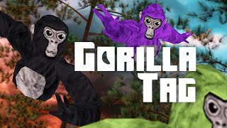 Gorilla Tag NEW UPDATE LIVE [upl. by Gilba]